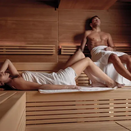 酒店 阿尔卑斯-舒适-中央酒店 4*