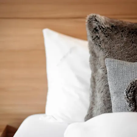 酒店 阿尔卑斯-舒适-中央酒店 4*