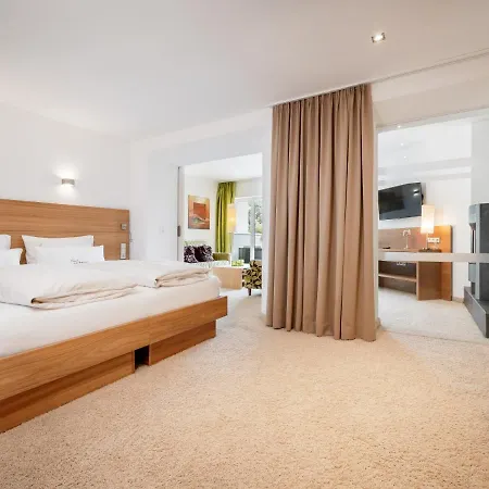 阿尔卑斯-舒适-中央酒店