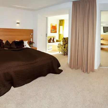 阿尔卑斯-舒适-中央酒店 4* 瑙德斯