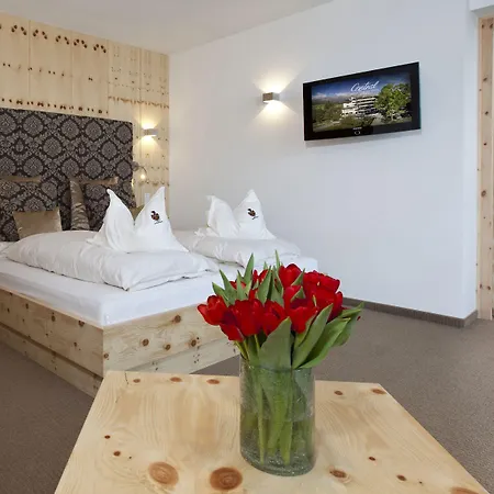 阿尔卑斯-舒适-中央酒店 酒店 瑙德斯