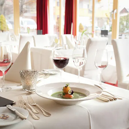 阿尔卑斯-舒适-中央酒店 4*