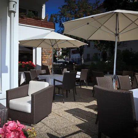 酒店 阿尔卑斯-舒适-中央酒店