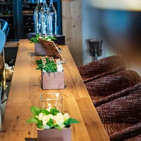 阿尔卑斯-舒适-中央酒店 4* 瑙德斯