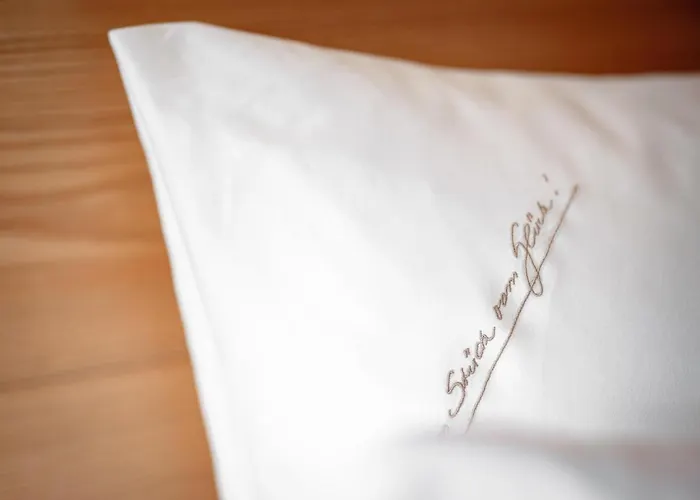 酒店 阿尔卑斯-舒适-中央酒店