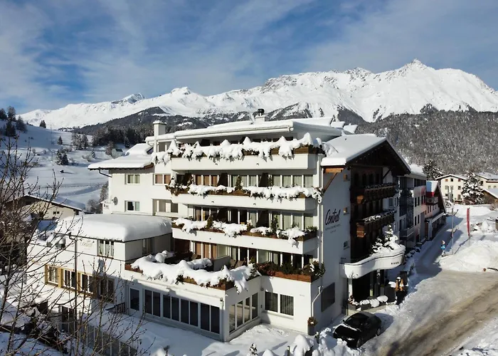 阿尔卑斯-舒适-中央酒店 酒店 4*