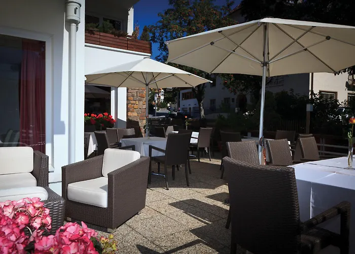 酒店 阿尔卑斯-舒适-中央酒店