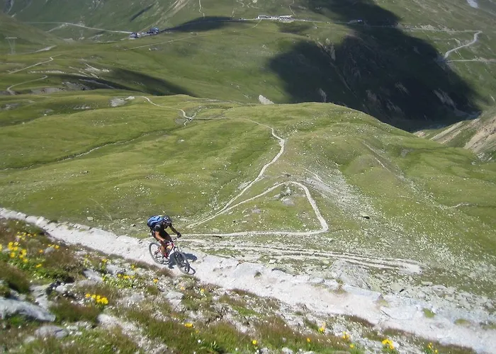 阿尔卑斯-舒适-中央酒店 瑙德斯