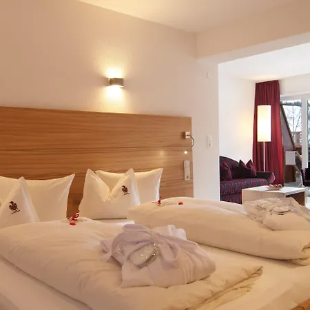 ホテル Alpen-comfort-hotel ナウダース